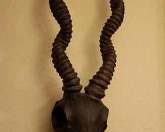 Antelope Skull Wall Decor With Spiral Horns