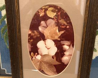 Framed & matted picture