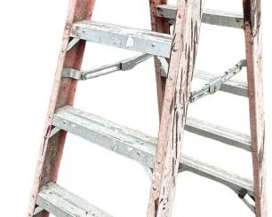 Warner 6 Foot Ladder