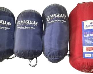 Sleeping Bag and Pillows