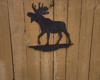 moose