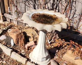 birdbath