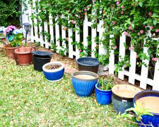 Many planter pots