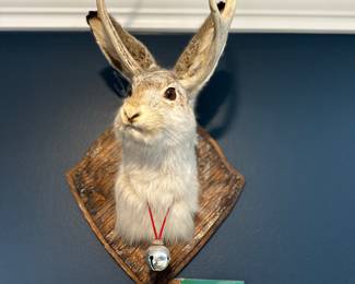 Taxidermy, Jackalope 