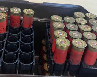 Shotgun Shells