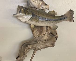 Mounted Bass