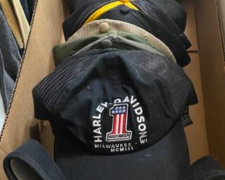 Assorted Truckers Hats