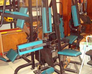 Exercise gym and weight bench and weights