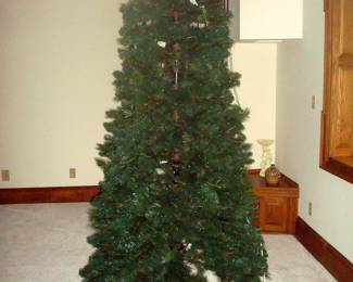 Lighted Christmas tree