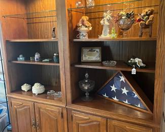 2 Lighted Shelving Units