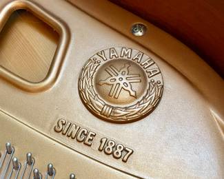 SOLD—Yamaha Baby Grand Player Piano with bench, Ebony polish, speakers housed underneath. Model number shown in later images.  56L x 62H. WORKS!