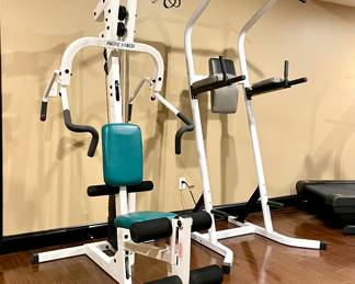 $650-Pacific Fitness Weight System. SOLD-Linex 615 Power Tower. (Love that name! lol) YOU MOVE! 