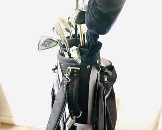 Complete set of golf clubs in Porter Line golf bag
Clubs are TaylorMade R540 XD driver, Lynx, Adams,  and Navigator Golf Force Ten 3 wood