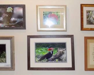 Framed Nature Photography