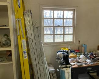 Werner Ladder and other assorted ladders