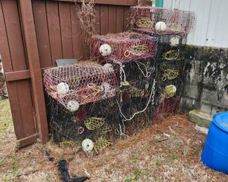 Want crabs? We can help.... Plenty of traps 