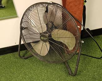 fan