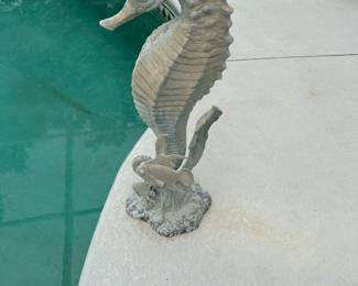 Sea Horse