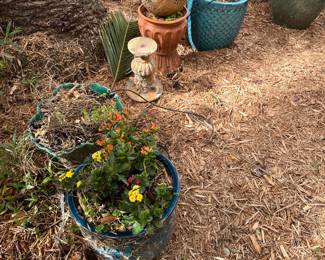 pots and plants