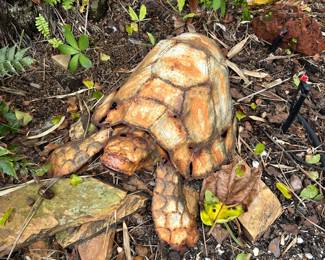 Turtle