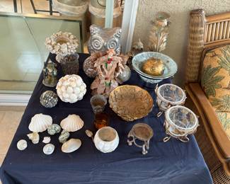 Shell art & more