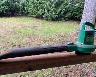 Leaf Blower and Vaccum
