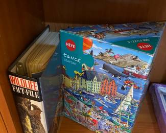 Assortment of Puzzles