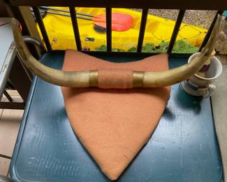 Mounted Bull Horns