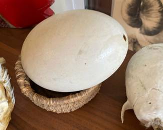 Ostrich Egg