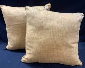 Annie Selkes Fresh American Queen Pillows