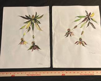 Two Lady’s Slipper Orchid Watercolor Painting by Paulette Hunter
