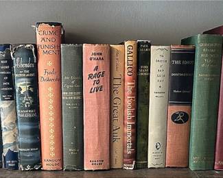 17 Vintage Books Incl. Dostoevsky Dickens Two Lion Bookends