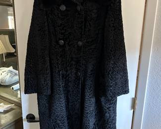 Black curly lamb with mink collar.