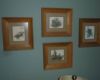 4 bird pictures w/wood frames