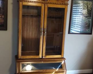 Gun cabinet 
