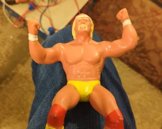 WWE Wrestling 