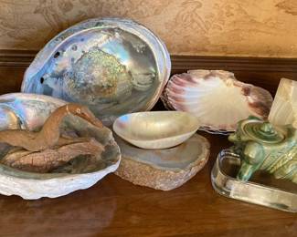 Abalone Shells Polished Stones And More