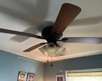 wood ceiling fan with light