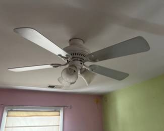 ceiling fan