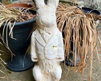 Hello, Mr. Rabbit!