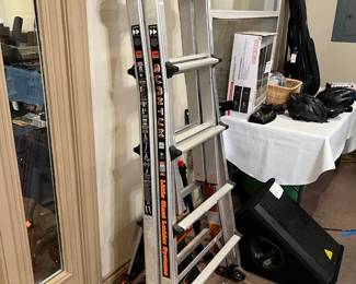 The Little Giant Ladder System 