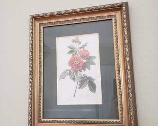 FRAMED ROSE PRINT