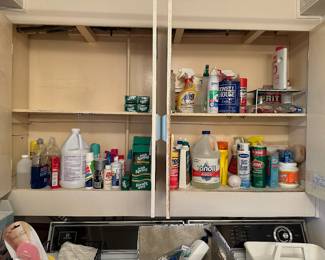 Assorted chemicals and toiletries