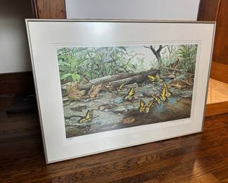 Vintage Framed Butterfly Art by Paul J. Sweany.