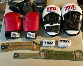 Red Everlast Boxing Gloves & Title Leather Punch Mitts
