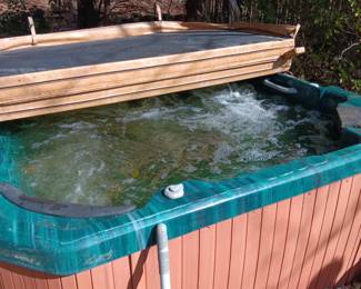 Hot tub works $1000.00 (obo)