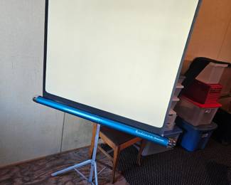 Radiant Screenmaster Projector Screen!