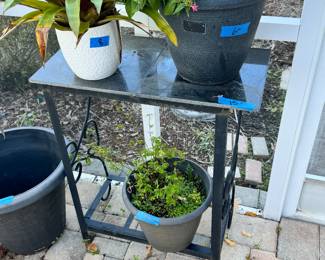 Variety of plants and plant stands
