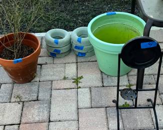 Variety of plants and plant stands