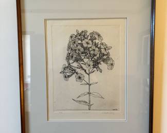 Claude Saucy " Phlox" Etching, Numbered and Signed